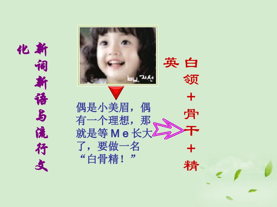 高中语文 (新词新语与流行文化)课件2 新人教版必修1 课件_第3页