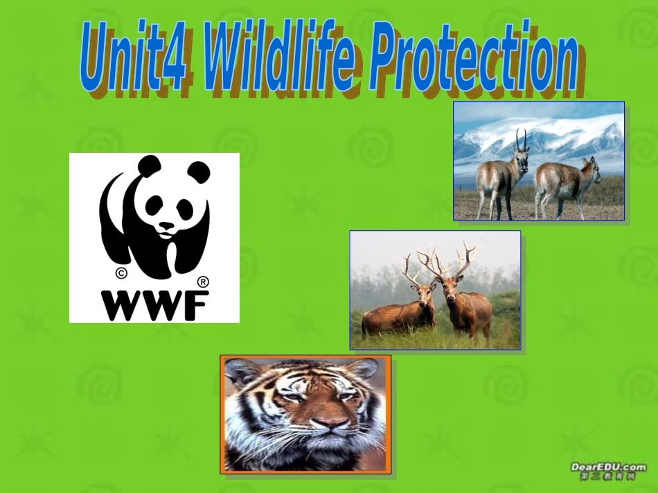 浙江省高一英语Unit4 Wildlife Protection课件 新课标 人教版 浙江省高一英语Unit4 Wildlife Protection课件[附视频文件]新课标 人教版_第1页