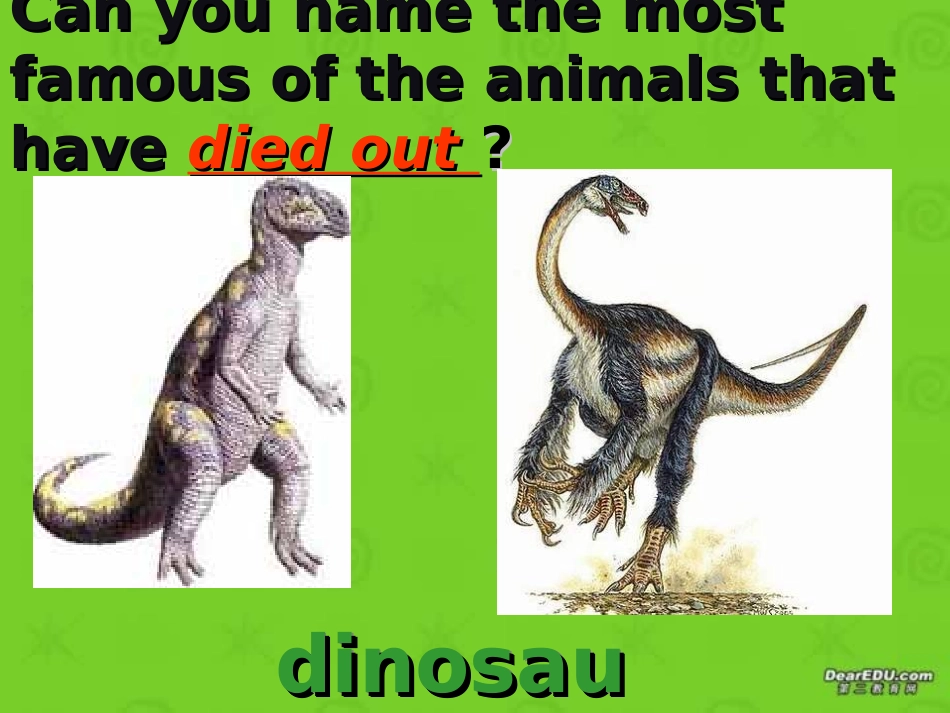 浙江省高一英语Unit4 Wildlife Protection课件 新课标 人教版 浙江省高一英语Unit4 Wildlife Protection课件[附视频文件]新课标 人教版_第3页