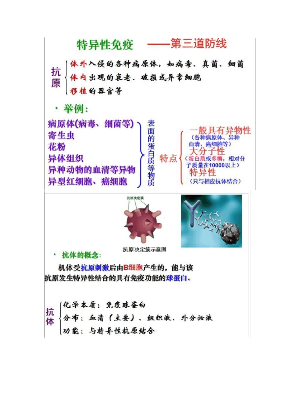 全国高中生物：免疫调节知识总结_第3页