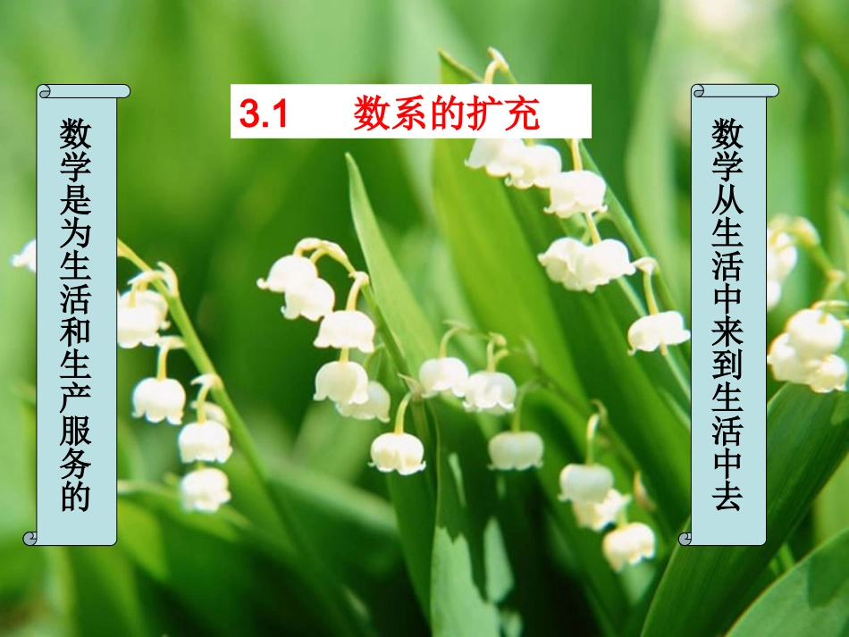 高中数学数系扩充课件选修1 课件_第1页