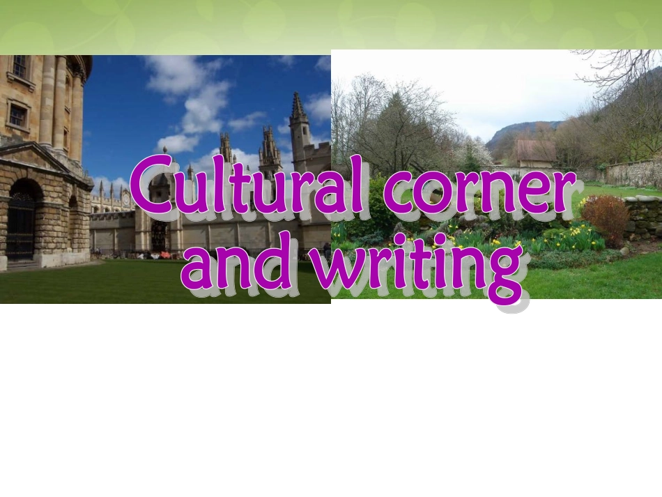 高中英语 Module2 Developing and Developed Countries课件6 新人教版必修3 课件_第1页