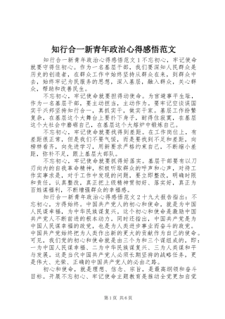 知行合一新青年政治心得感悟范文