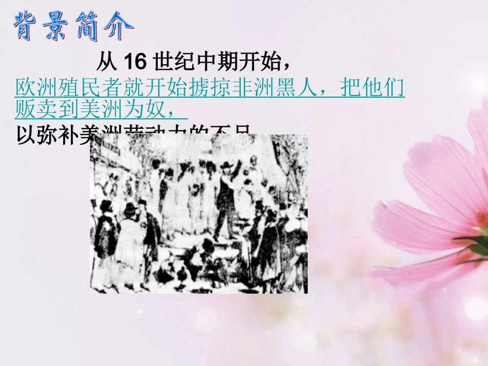 高中语文 我有一个梦想课件5 新人教版必修2 课件_第1页