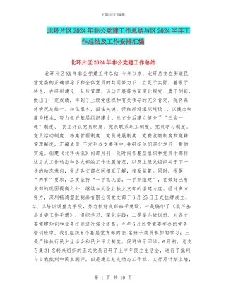 北环片区2024年非公党建工作总结与区2024半年工作总结及工作安排汇编