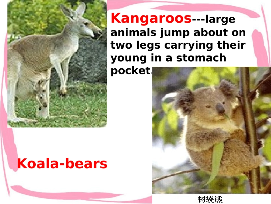 高三英语Unit3 Reading 课件_第1页