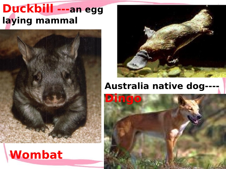 高三英语Unit3 Reading 课件_第2页