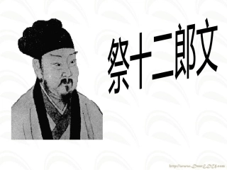 祭十二郎文 人教试验修订本2 课件