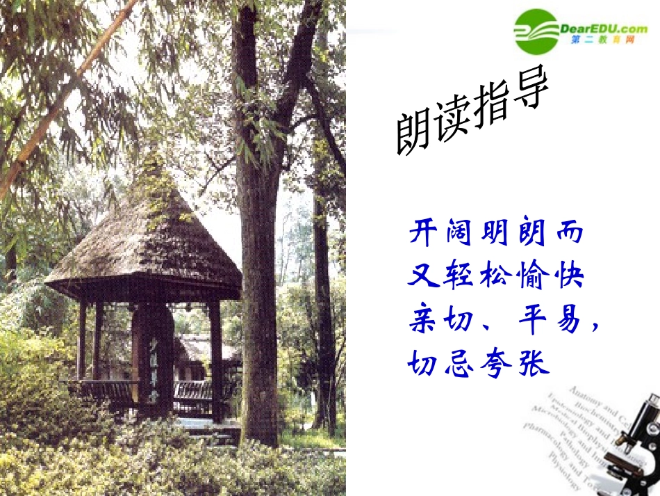 高中语文 第五单元第17课(李杜诗五首)课件 人教版第五册 课件_第3页