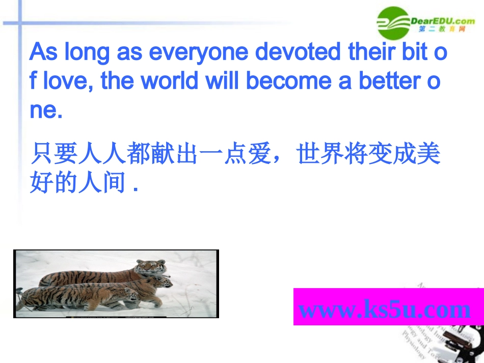 高中英语 49(Unit 4 wildlife reading)精品课件 新人教版必修2 课件_第3页