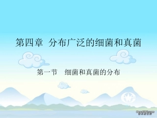 细菌和真菌的分布八年级生物第五单元第四章第一节课件示例 课件
