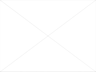 高中信息技术 用图表呈现数据1课件 粤教版必修1 课件
