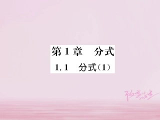 秋八年级数学上册 第1章 分式 1.1 分式(1)练习课件 (新版)湘教版 课件