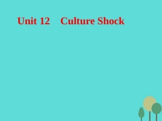 高考英语一轮复习 Unit 12 Culture Shock课件 北师大版必修4