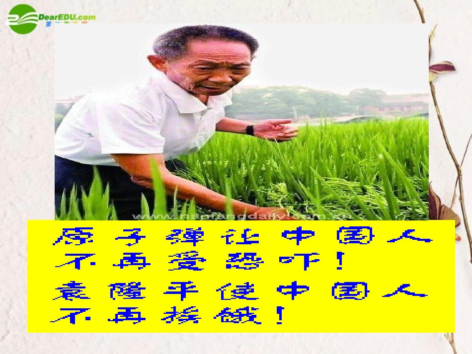 高中语文(喜看稻菽千重浪)课件 粤教版必修5 课件_第3页