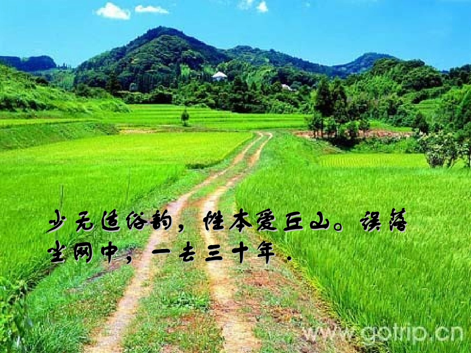 高中语文 28(归园田居)课件(8) 语文版必修4 课件_第2页