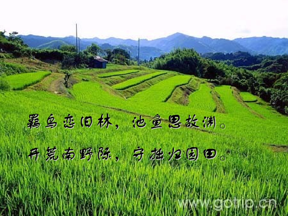 高中语文 28(归园田居)课件(8) 语文版必修4 课件_第3页