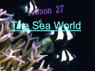 高中英语模块三 Unit 7 The sea Lesson 27 The Sea World 精品课件(北师大版)