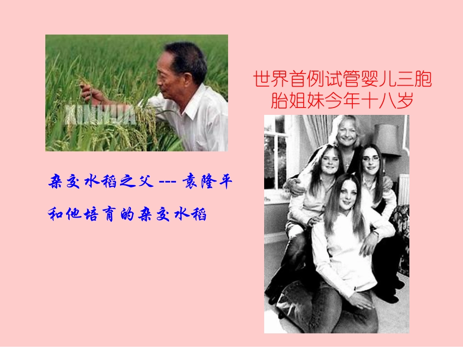 生物的特征七年级生物上册 课件_第2页