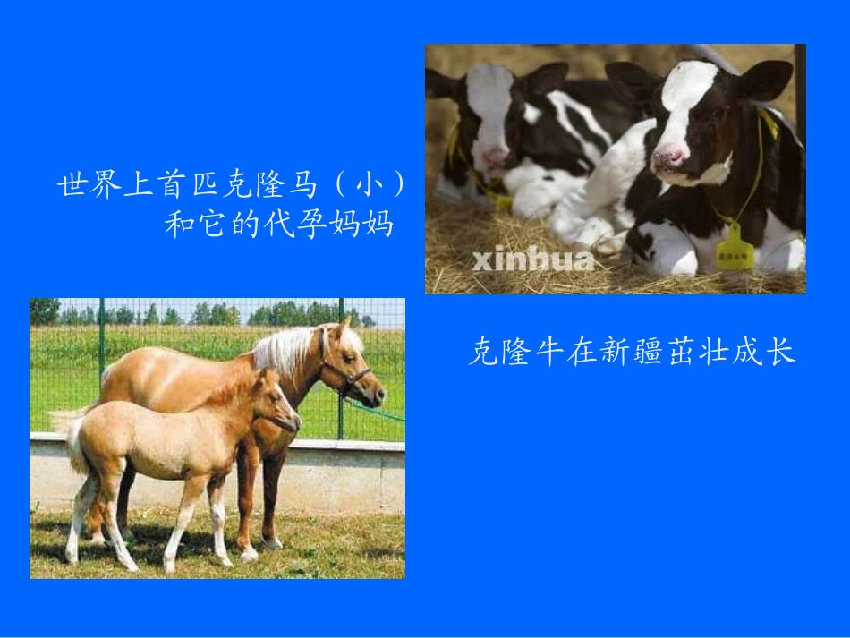 生物的特征七年级生物上册 课件_第3页