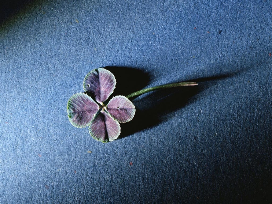 高二英语课件Unit18 Inventions　Grammar 人教版 课件_第1页