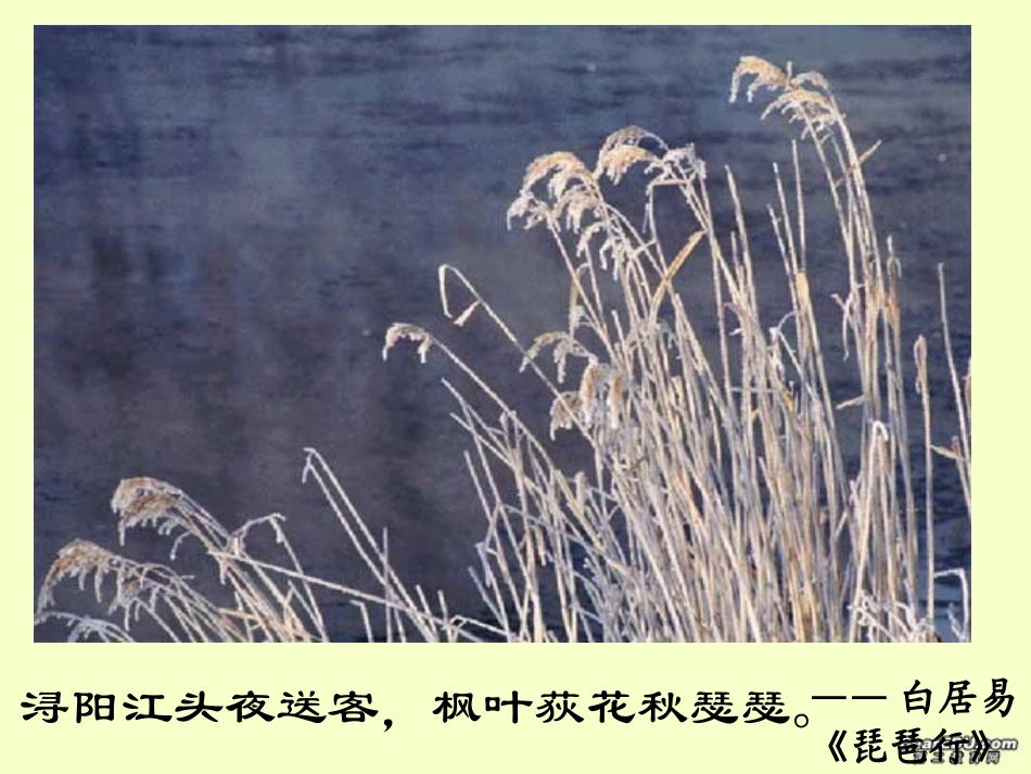 高二语文故都的秋课件 新课标 人教版 课件_第3页