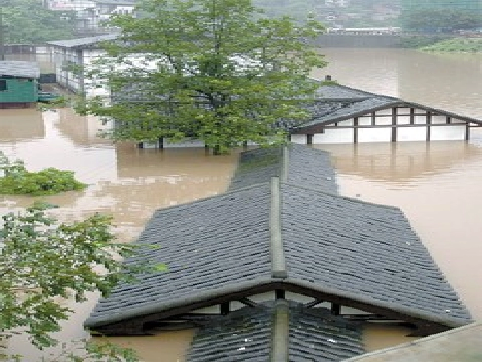 江苏地区八年级语文上册 第25课(治水必亲躬)课件 苏教版 课件_第3页