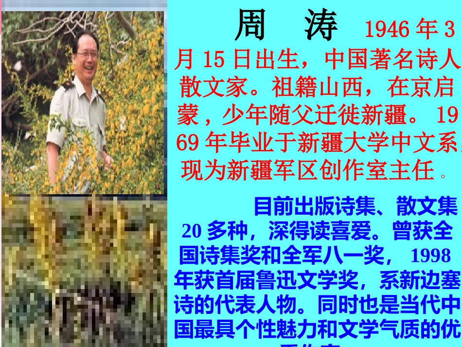 高一语文巩乃斯的马 粤教版 课件_第3页