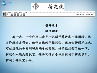 高中语文 3.12 荷花淀课件 粤教版必修3 课件