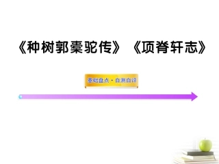 高中语文全程复习方略 (种树郭橐驼传)(项脊轩志)课件选修 新人教版 (湖南专用) 课件