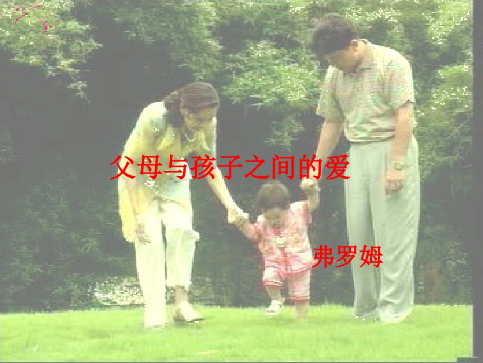 语文第三单元第9课父母与孩子之间的爱课件新人教版必修4 课件_第1页