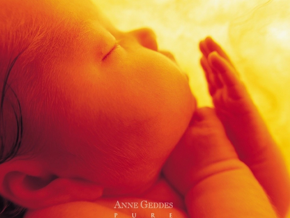 语文第三单元第9课父母与孩子之间的爱课件新人教版必修4 课件_第3页