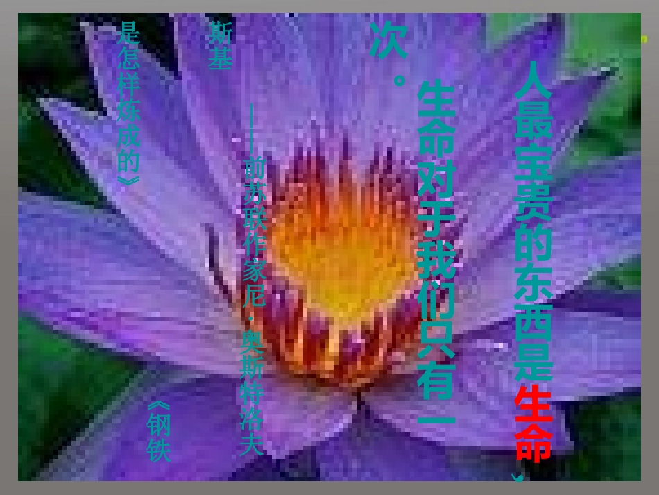 高中语文(热爱生命 )课件 新人教版必修5 课件_第1页