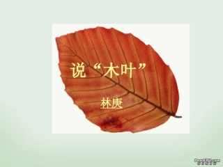高二语文说木叶课件 人教版 课件