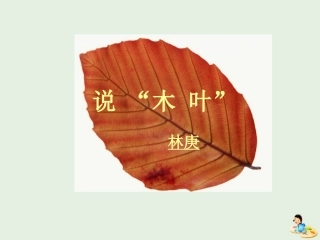 高中语文9说木叶课件新人教版必修5 课件
