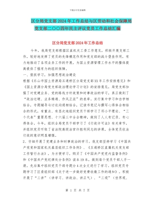 区分局党支部2024年工作总结与区劳动和社会保障局党支部二○○四年民主评议党员工作总结汇编