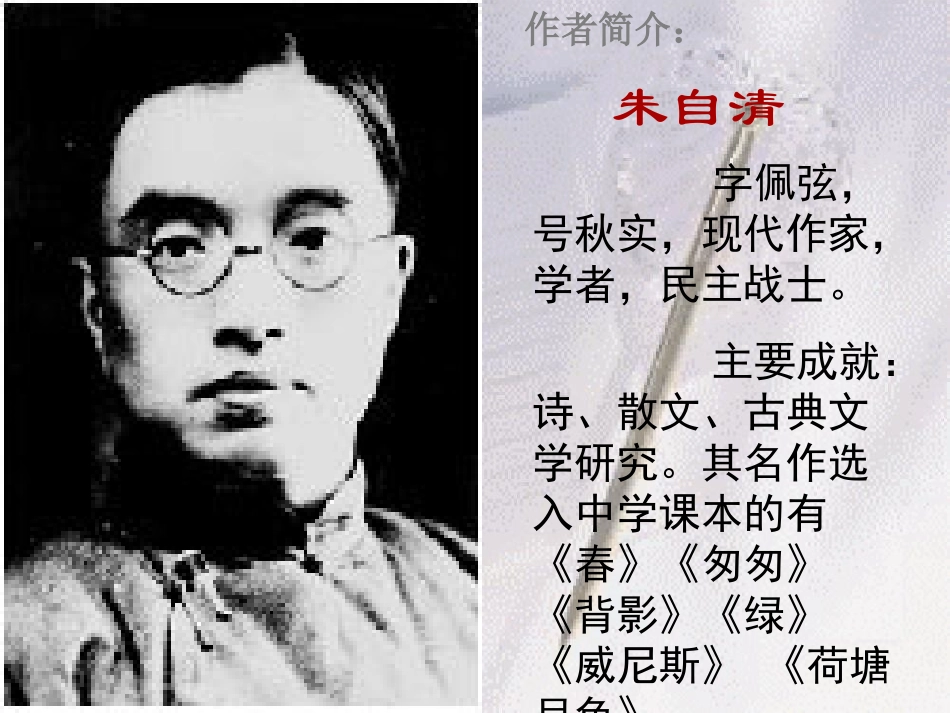 高中语文 第1课 荷塘月色同步教学课件 新人教版必修2 课件_第2页