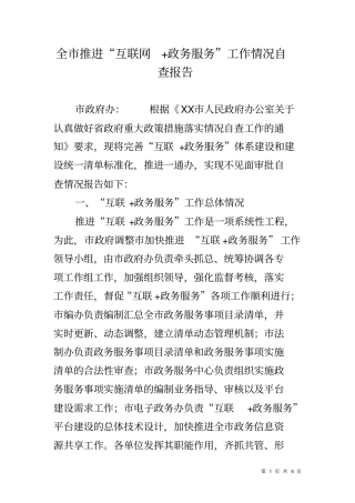 全推进互联网政务服务工作情况自查报告