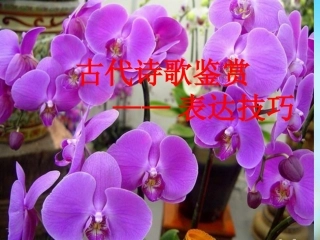 高二语文 古典诗歌表达技巧大全 新人教版 课件