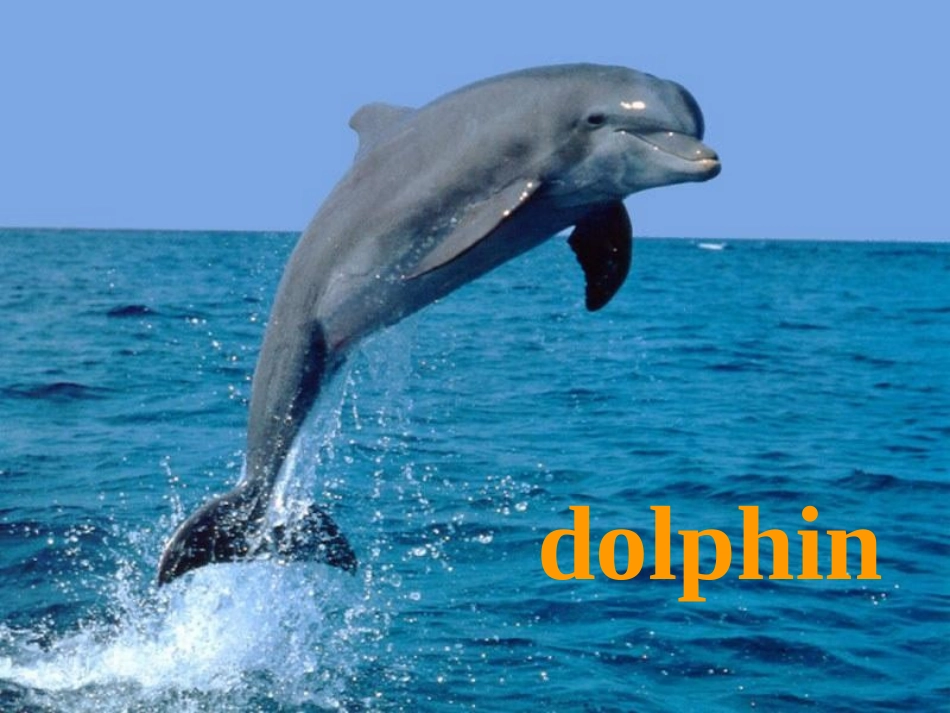 高中英语 Unit 7 Lesson 27 The Sea World课件 北师大版必修3 课件_第2页