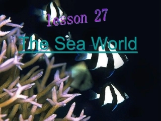 高中英语 Unit 7 Lesson 27 The Sea World课件 北师大版必修3 课件