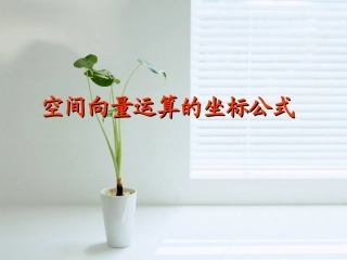 高中数学空间向量运算的坐标公式课件