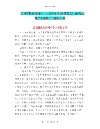 区城管执法局局长个人工作总结与区域主导产业发展工作报告汇编