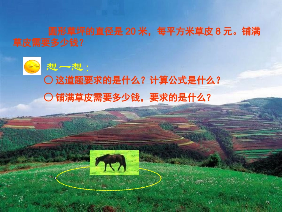 圆的面积 (7)_第2页