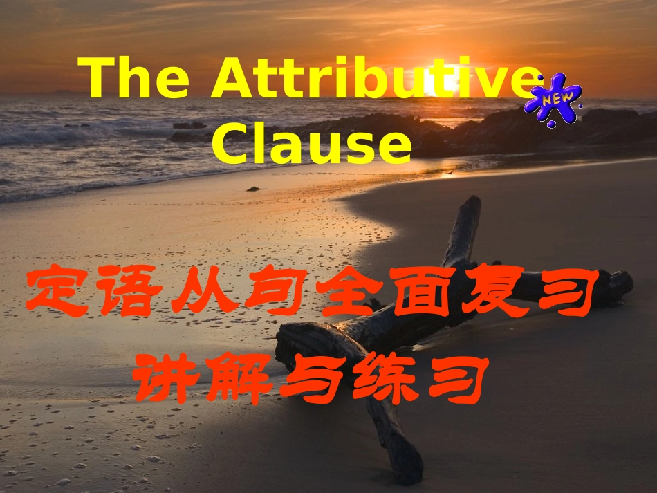 定语从句复习_第2页