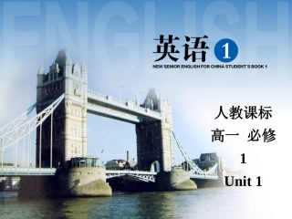 必修一unit1Grammar