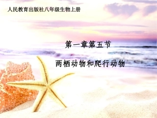 两栖动物和爬行动物 