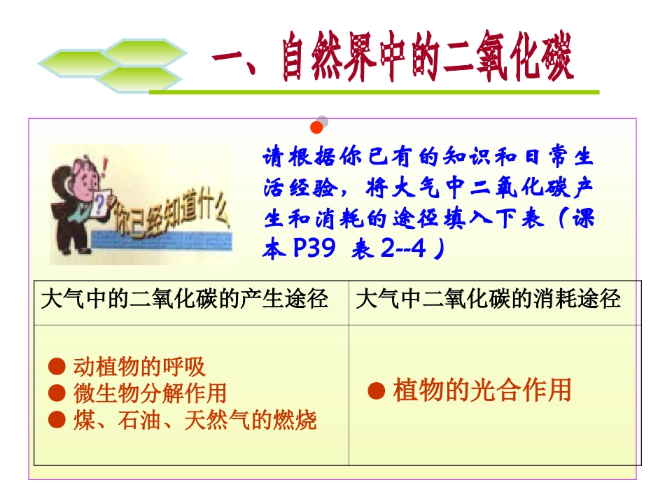 奇妙的二氧化碳2_第3页