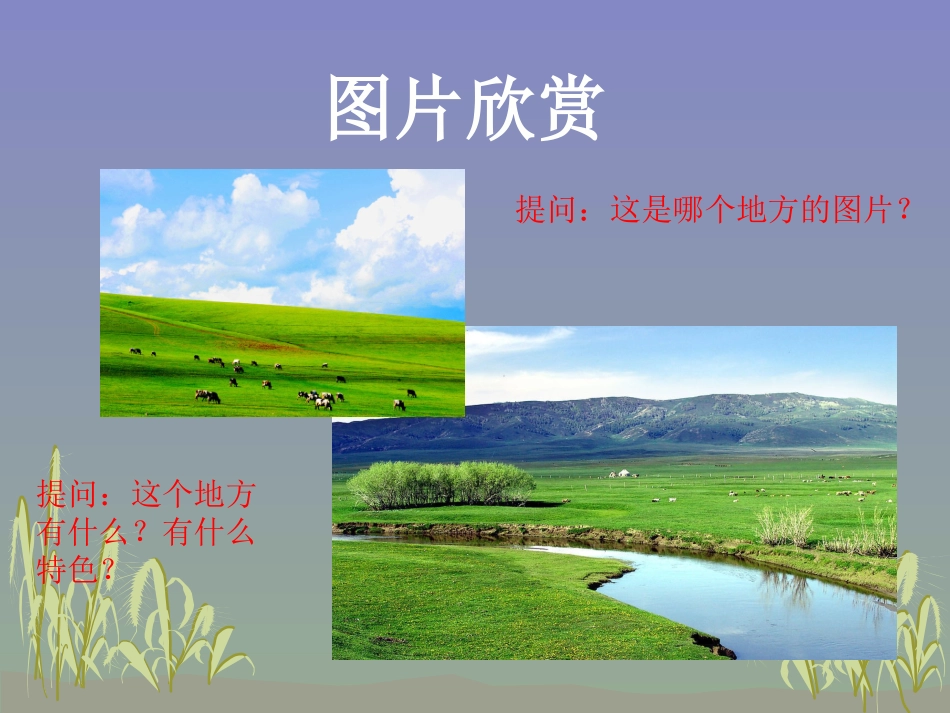 《草原上》课件2014_第3页
