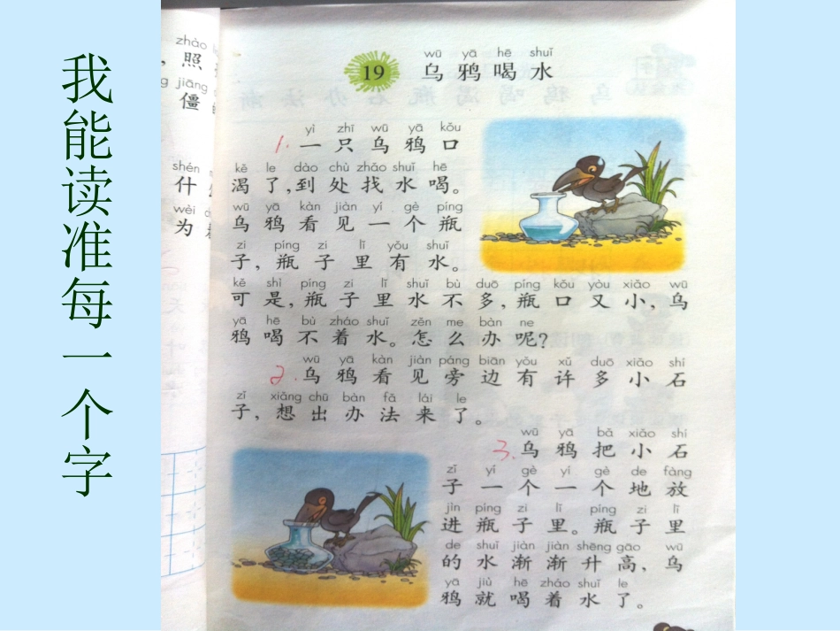 乌鸦喝水课件 (2)_第3页